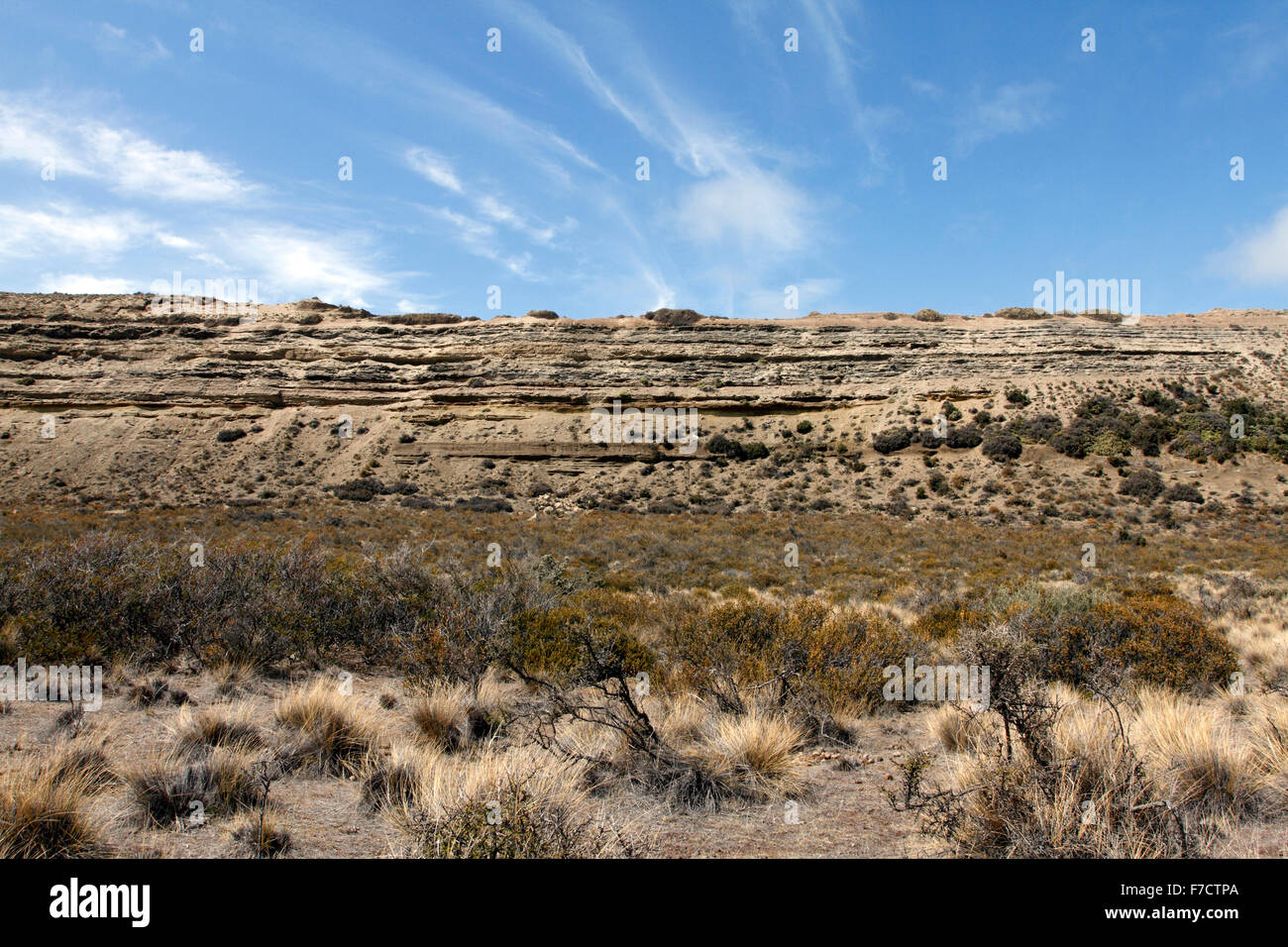 El Pedral Klippen in der Nähe von Puerto Madryn, Provinz Chubut, Patagonien, Argentinien. Heiligtum des Vereins Global Pinguin. Stockfoto