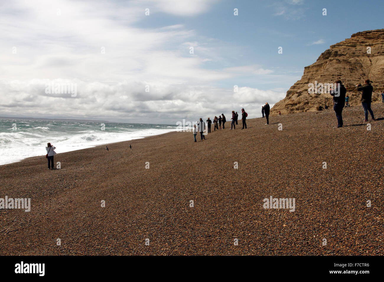 El Pedral Strand in der Nähe von Puerto Madryn, Provinz Chubut, Patagonien, Argentinien. Heiligtum des Vereins Global Pinguin. Stockfoto