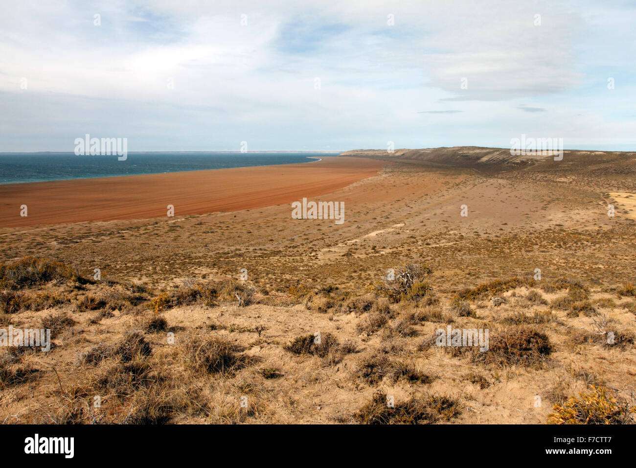 El Pedral Schindel Bank, in der Nähe von Puerto Madryn, Provinz Chubut, Patagonien, Argentinien. Heiligtum des Vereins Global Pinguin. Stockfoto