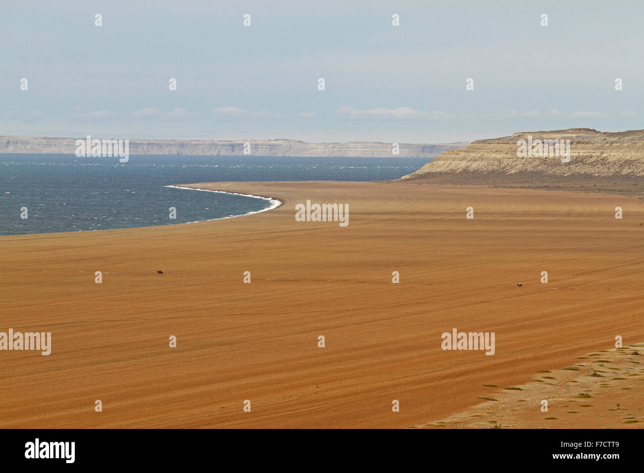 El Pedral Schindel Bank, in der Nähe von Puerto Madryn, Provinz Chubut, Patagonien, Argentinien. Heiligtum des Vereins Global Pinguin. Stockfoto