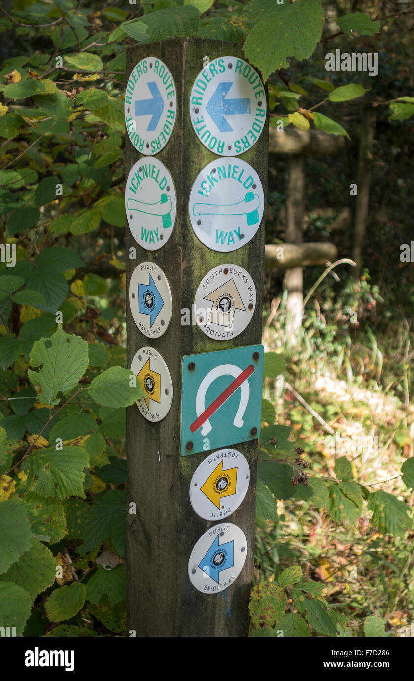 Wanderweg in Wendover Wäldern England unterzeichnet Stockfoto