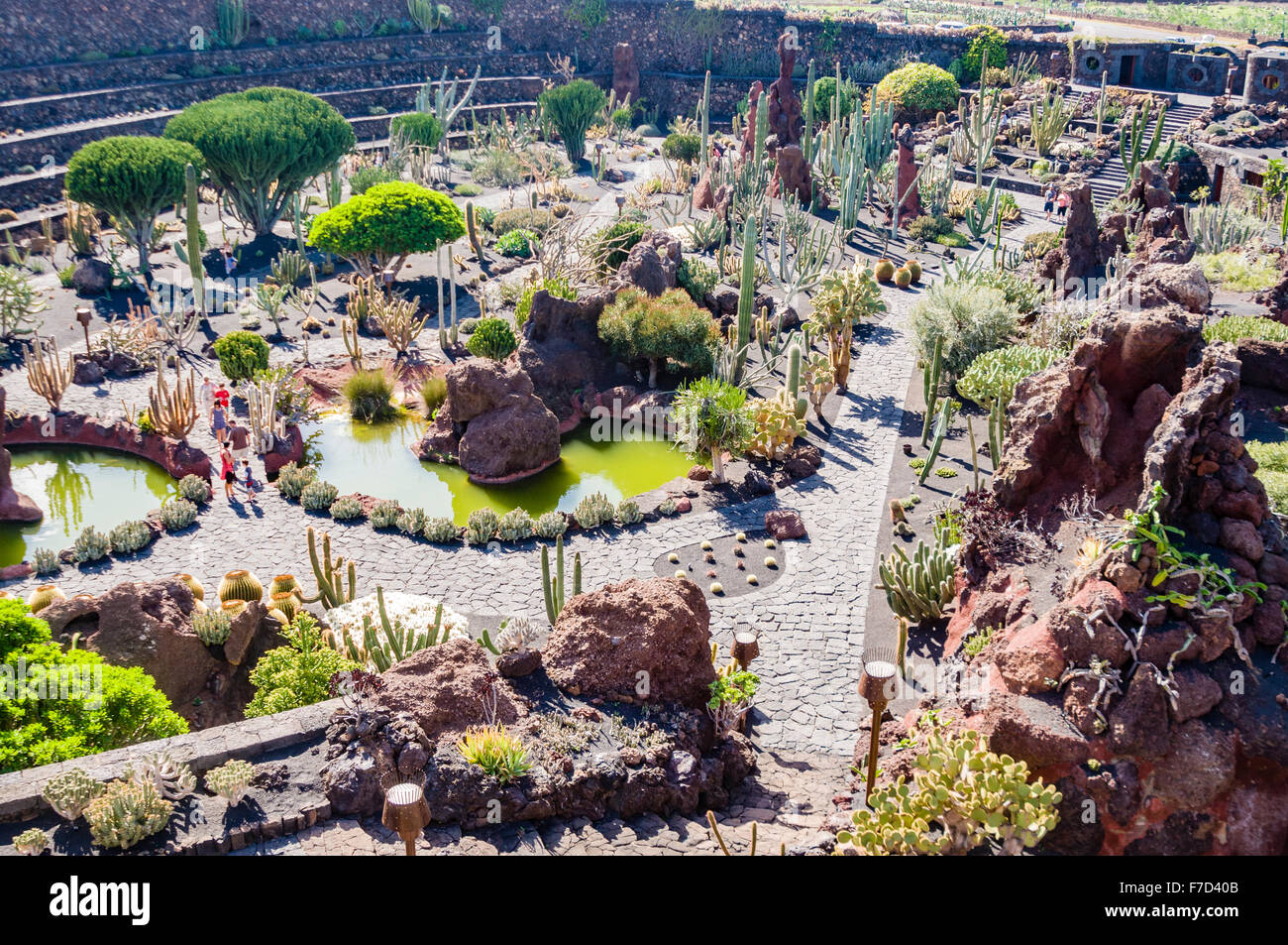 Jardin de Cactus, Lanzarote, vom Künstler César Manrique geschaffen Stockfoto