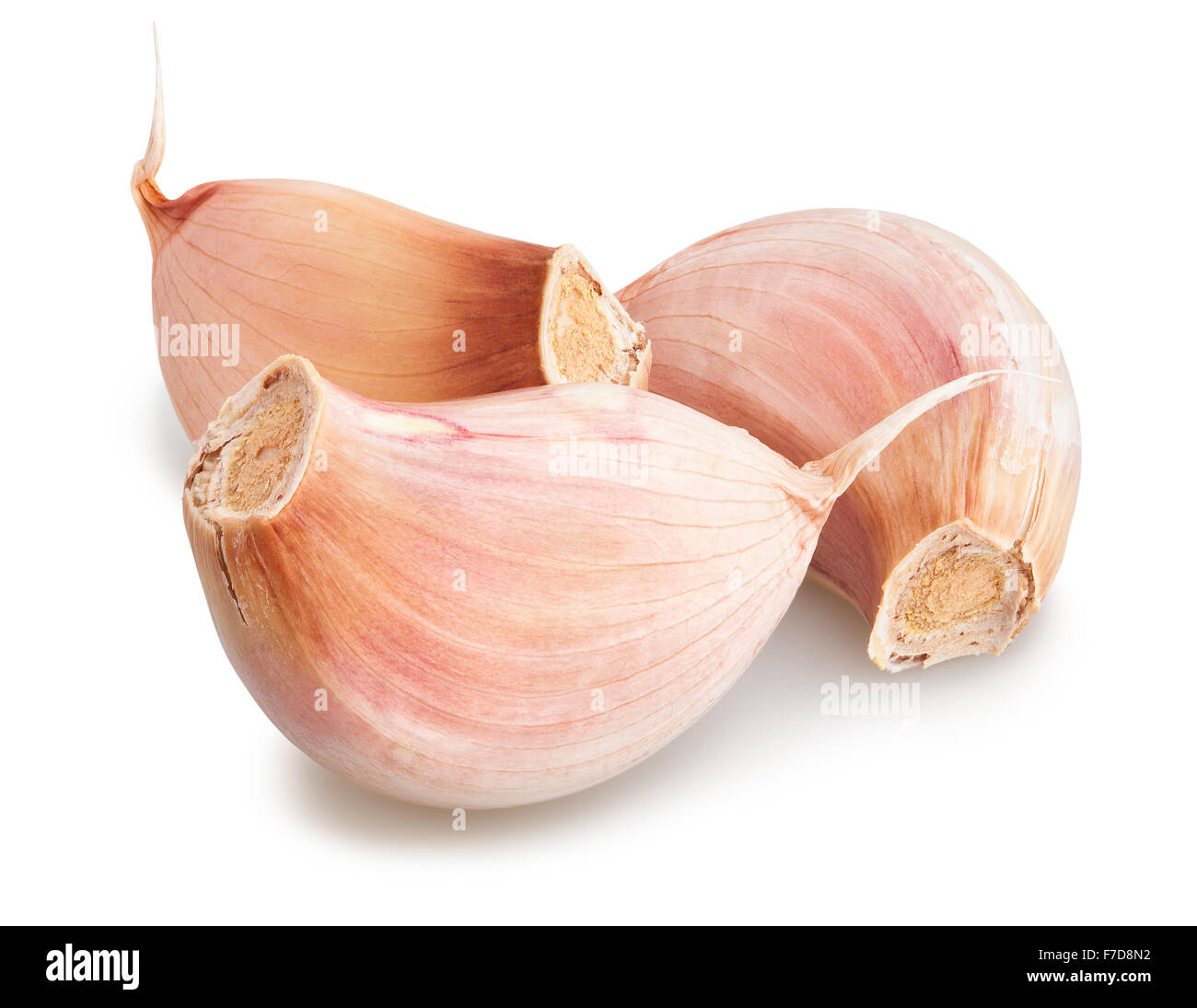 Knoblauchzehe, isoliert Stockfoto