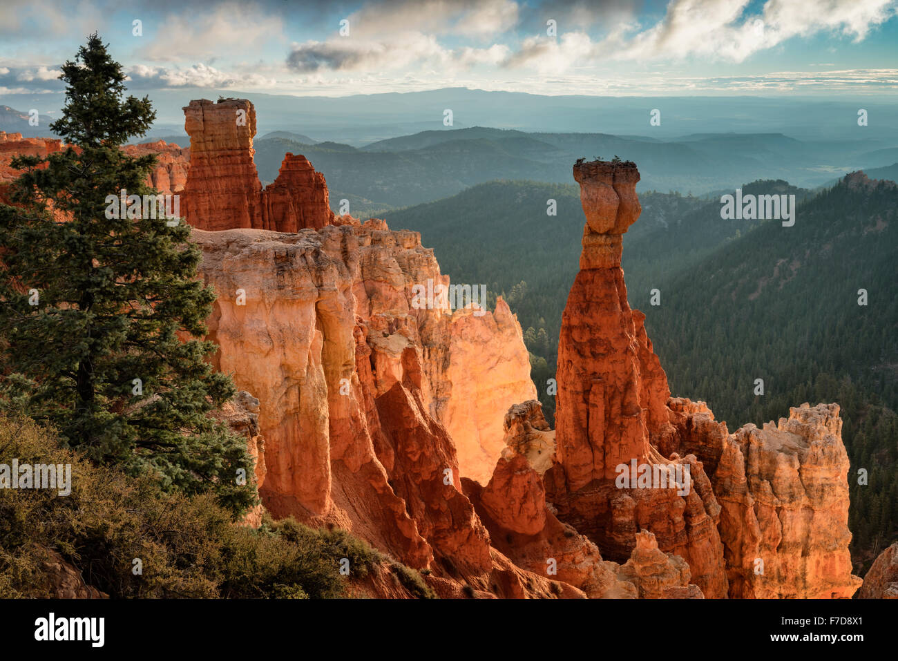 Agua Canyon, Bryce Nationalpark Stockfoto