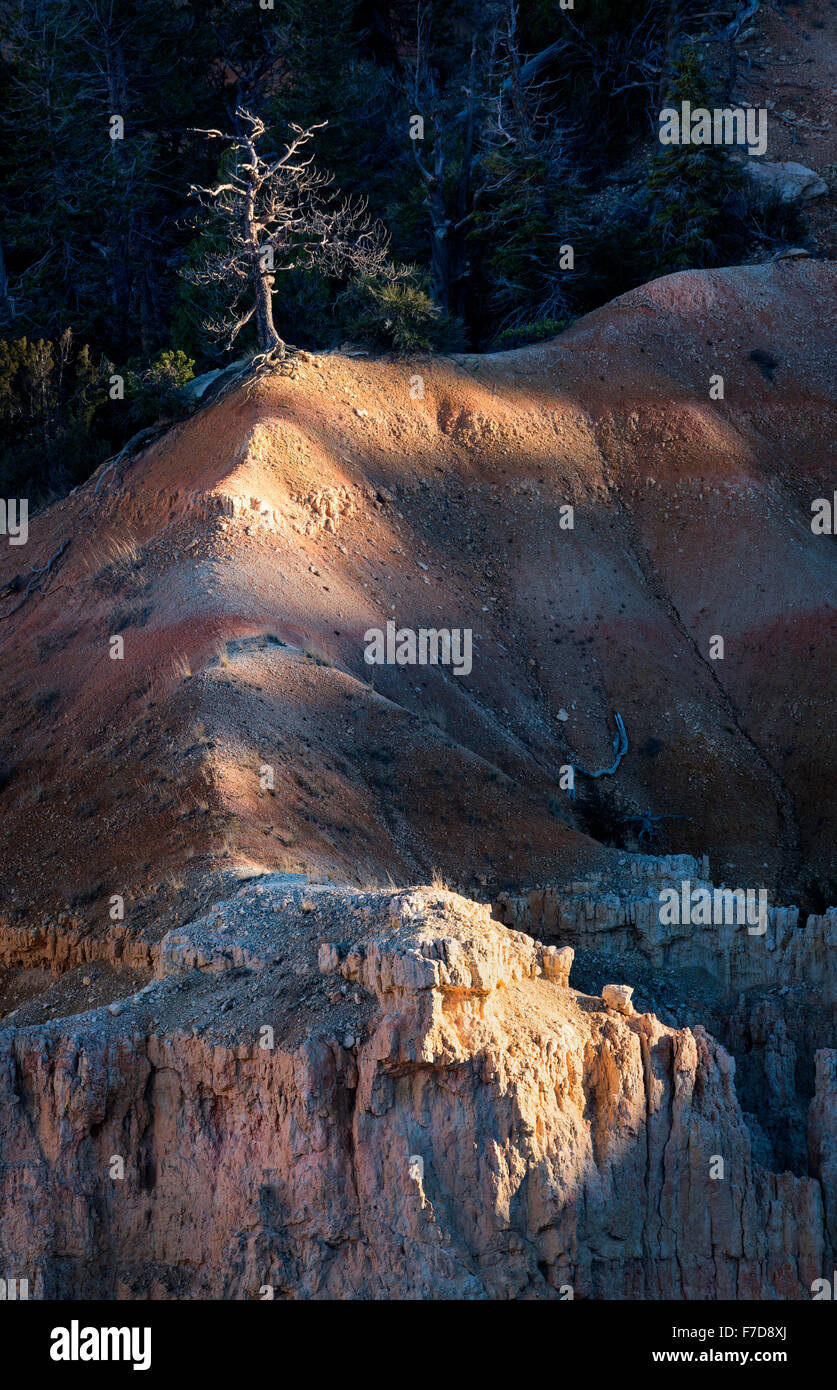 Sonne geküsst Kammlinie Stockfoto