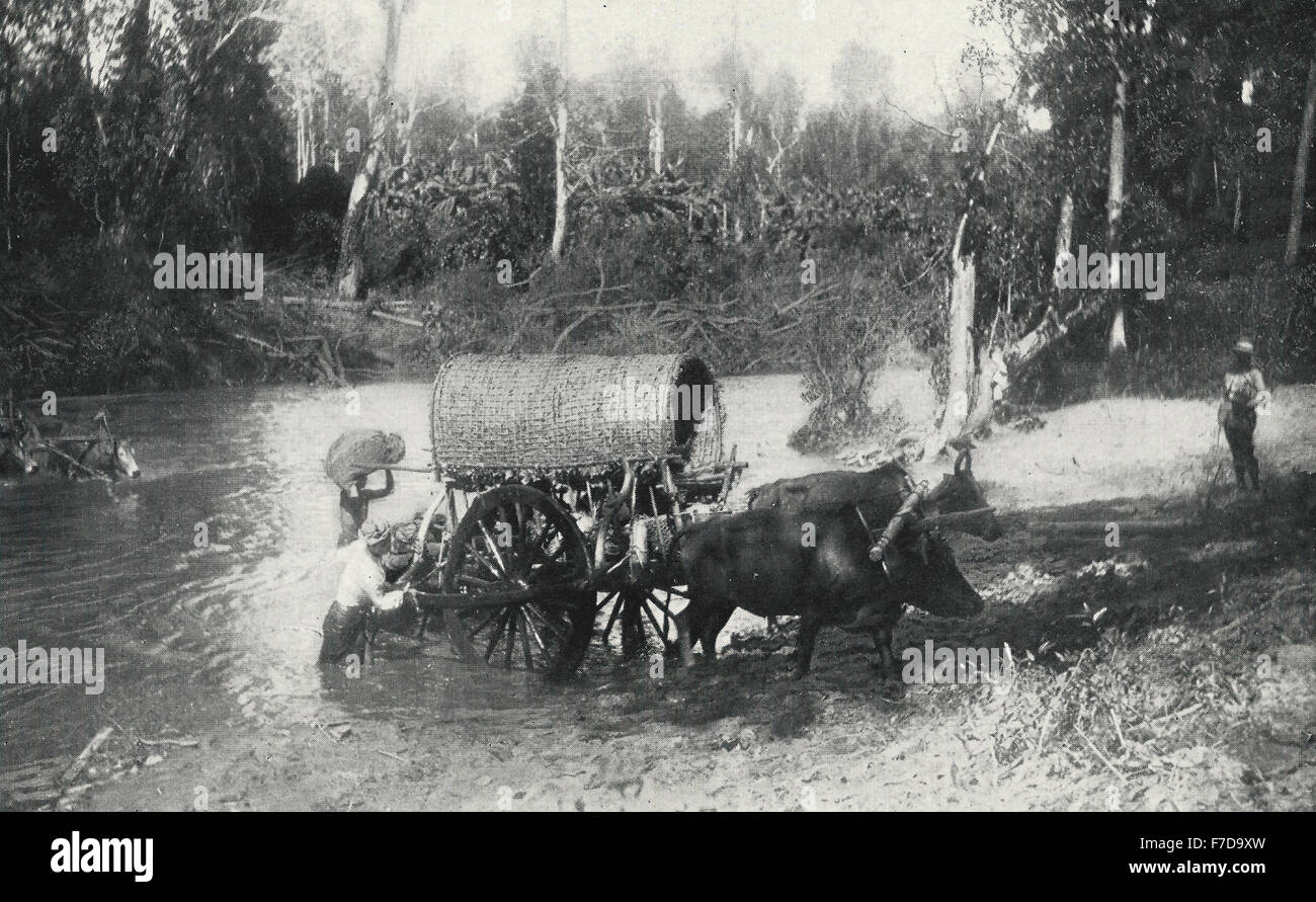 Fording Dschungelfluss in Siam, um 1900 Stockfoto