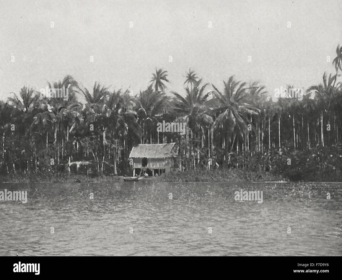 Ein Geburtshaus auf die Klawg zu Ratburi - malerisch, aber unangenehm (Mücken) inmitten einer Baumgruppe Kakao Betelnuss, Siam, um 1900 Stockfoto