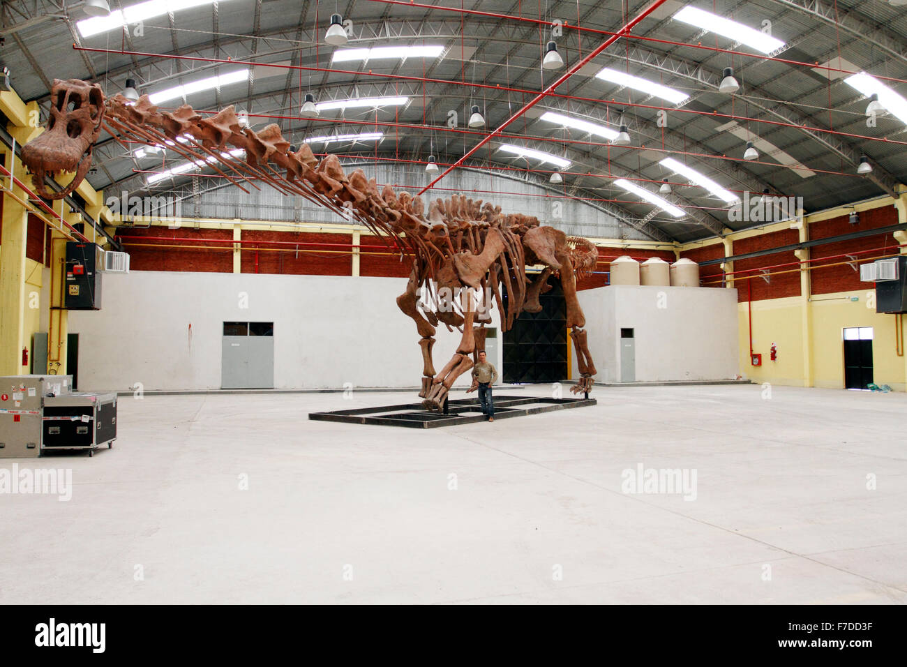 Weltweit größte Dinosaurier rekonstruiert Skelett Predio Ferial, Trelew, Chubut Region Patagonien, Argentinien. Entdeckten 2014 Stockfoto