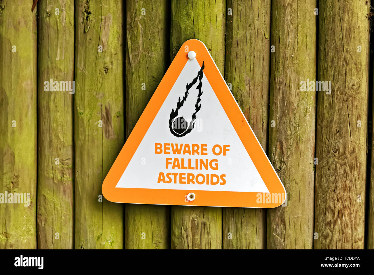 Hüten Sie sich vor der fallen Asteroiden Warnzeichen in der DinoZoo 2-Ausstellung statt im Zoo von Bristol, Vereinigtes Königreich, 2013. Stockfoto
