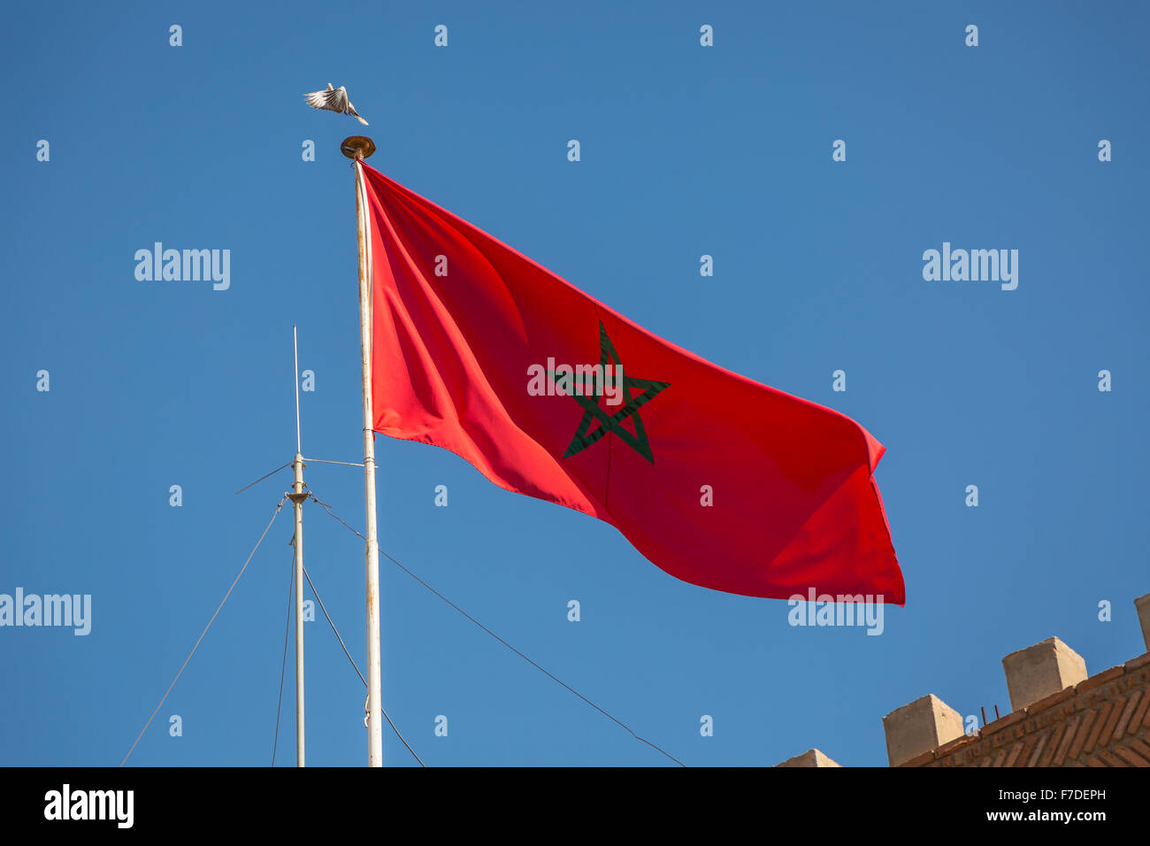 Die Flagge des Königreichs Marokko Stockfoto