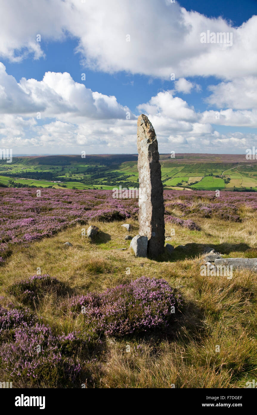 Wenig Blakey Howe, runden Grabhügel mit Menhir Blakey Ridge über Farndale North York Moors National Park North Yorkshire Stockfoto