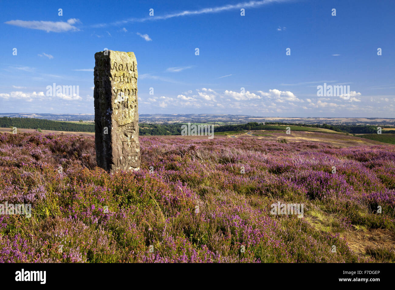 Handstein auf Blakey Ridge North York Moors National Park North Yorkshire England UK Stockfoto