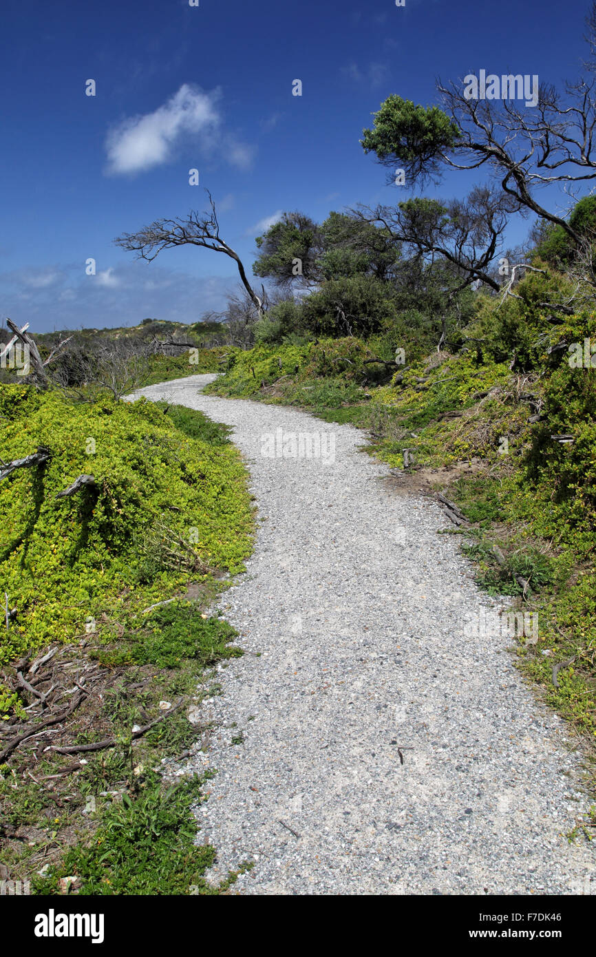 Splinte See Spur im Wilsons Promontory Nationalpark, Victoria, Australien. Stockfoto