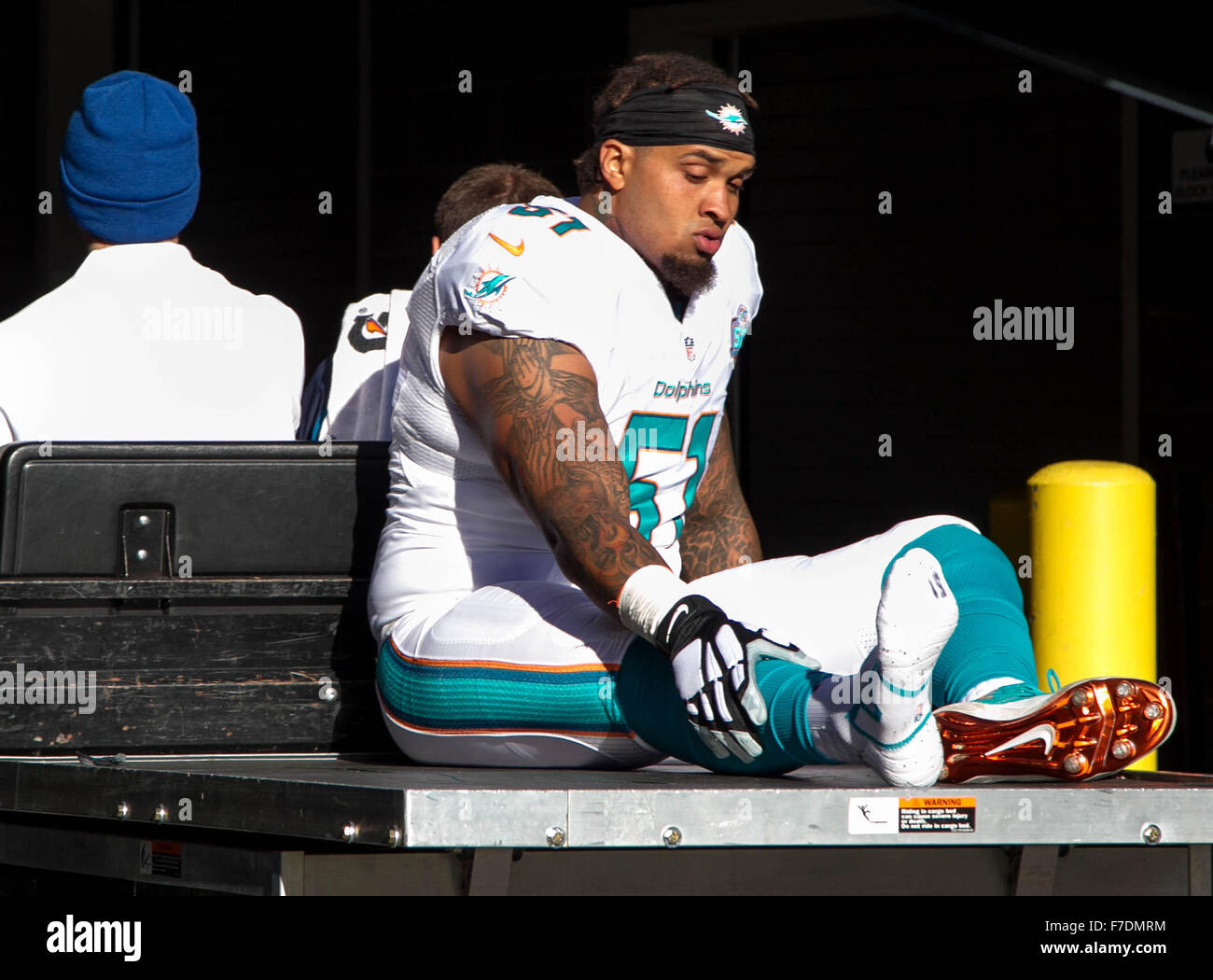 East Rutherford, Florida, USA. 29. November 2015. Miami Dolphins Center Mike Pouncey (51) ist im ersten Quartal gegen die Jets im MetLife Stadium in East Rutherford, New Jersey am 29. November 2015 Feld abtransportiert. Bildnachweis: Allen Eyestone/The Palm Beach Post/ZUMA Draht/Alamy Live-Nachrichten Stockfoto