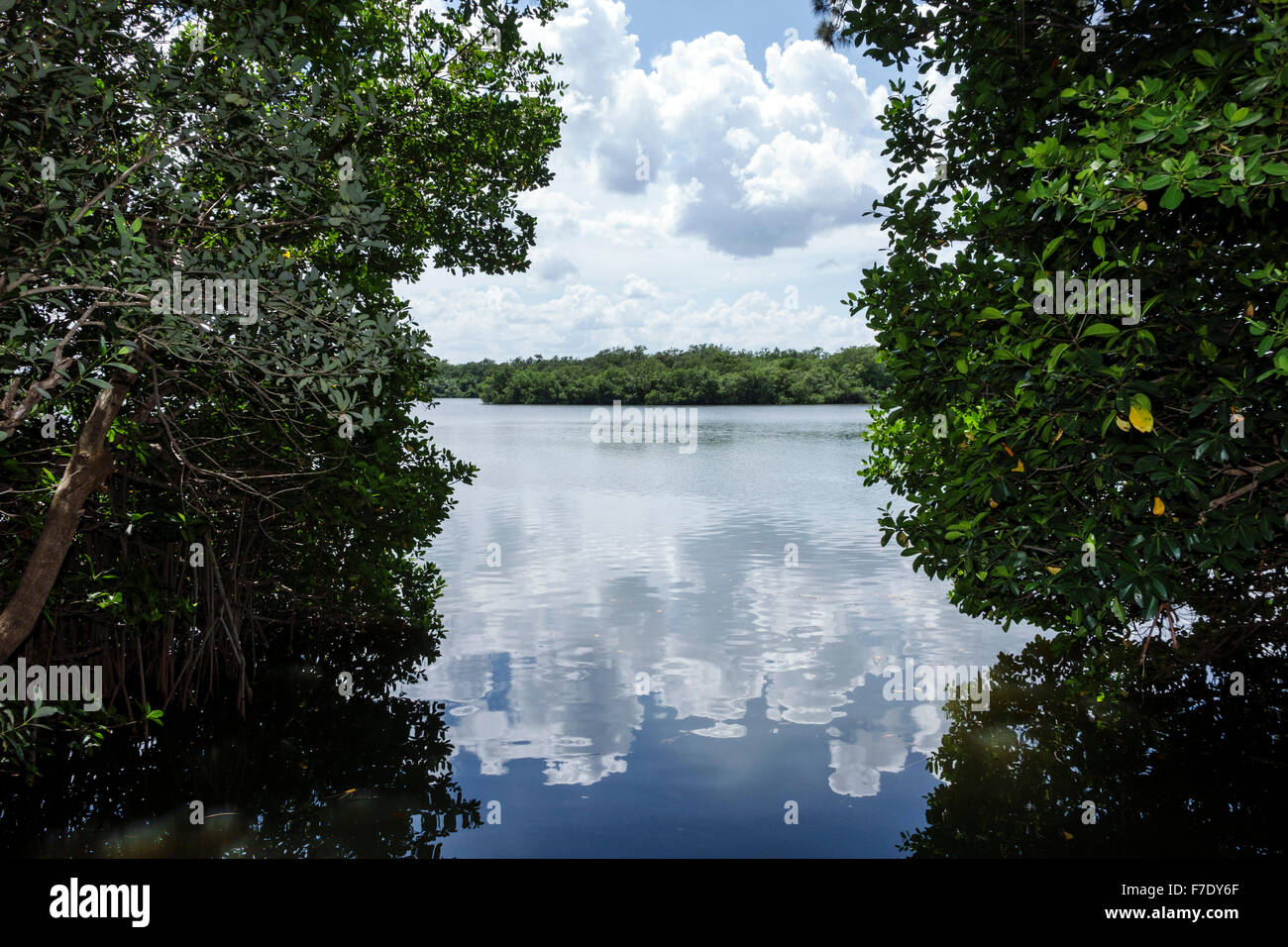 Florida North Hutchinson Orchid Island, North Beach, Pelican Island National Wildlife Refuge, Indian River Water Lagoon, Red Mangrove, Wasser, Besucher trave Stockfoto