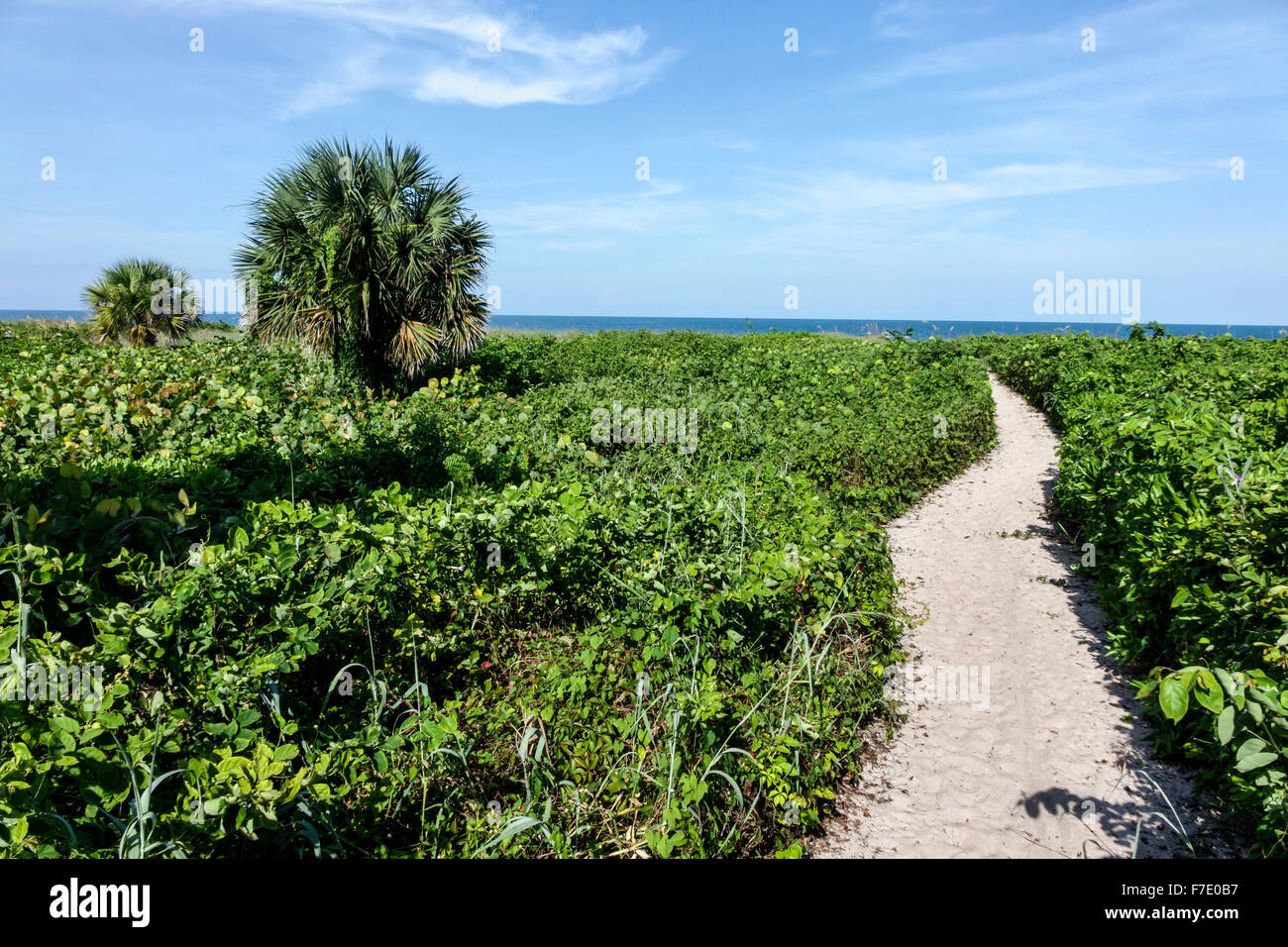Vero Beach Florida, North Hutchinson Orchid Island, Atlantischer Ozean Wasser, Pfad, Besucher reisen Reise touristischer Tourismus Wahrzeichen Kultur Stockfoto