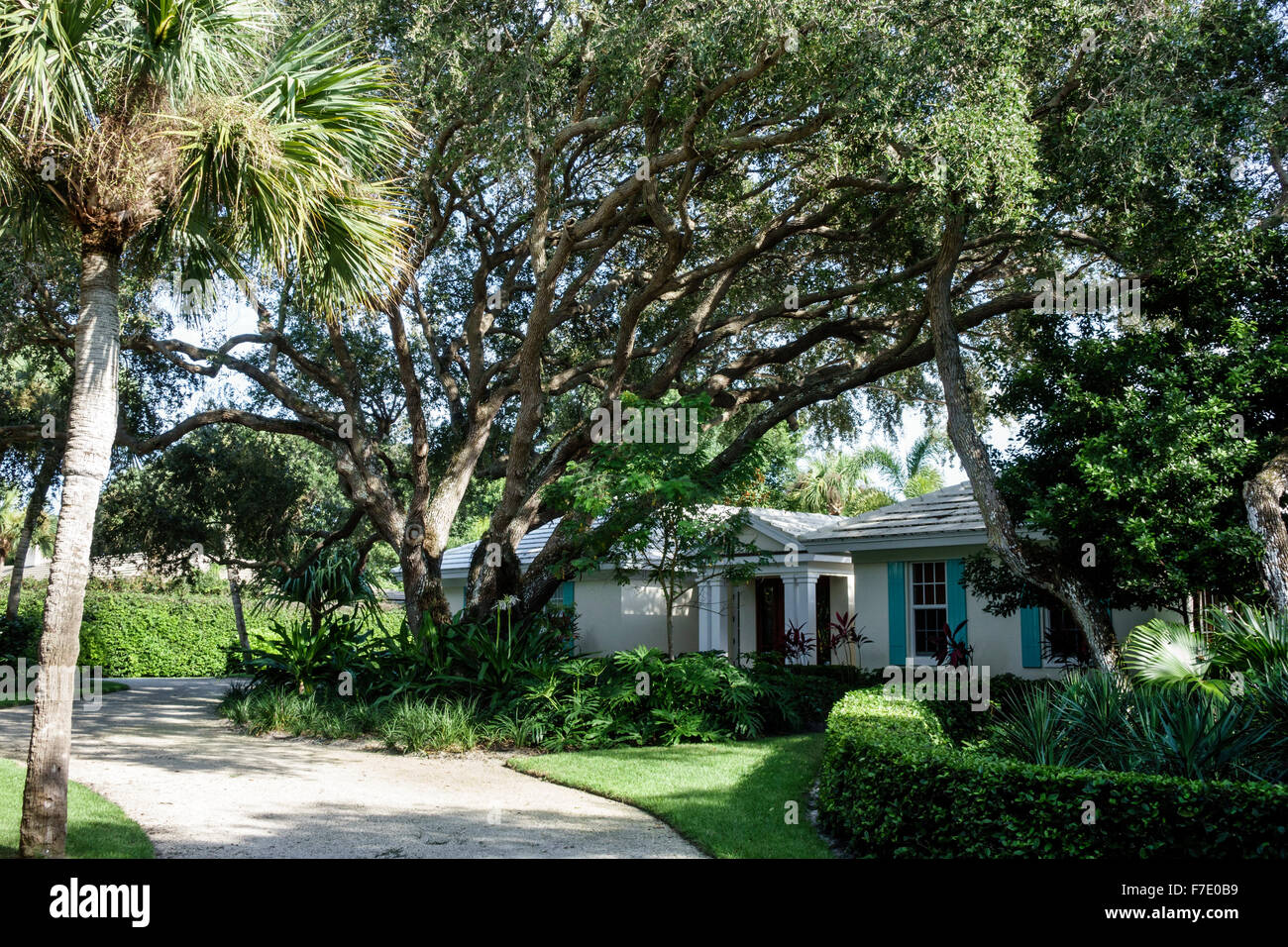 Vero Beach Florida, North Hutchinson Orchid Island, Haushäuser Häuser Häuser Residenz, Haus, leben Eichen Bäume, Besucher reisen Reise tou Stockfoto