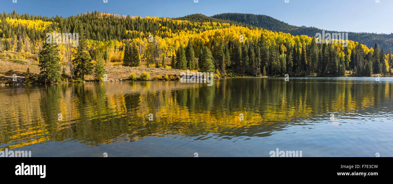 Bunte Espen spiegelt sich in Katarakt Untersee im Arapaho National Forest in den Rocky Mountains in Colorado. Stockfoto