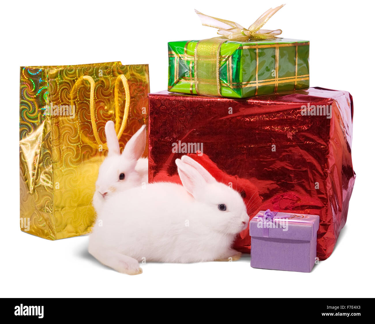 Zwei weiße Kaninchen mit Geschenken. Isoliert auf weißem Hintergrund Stockfoto