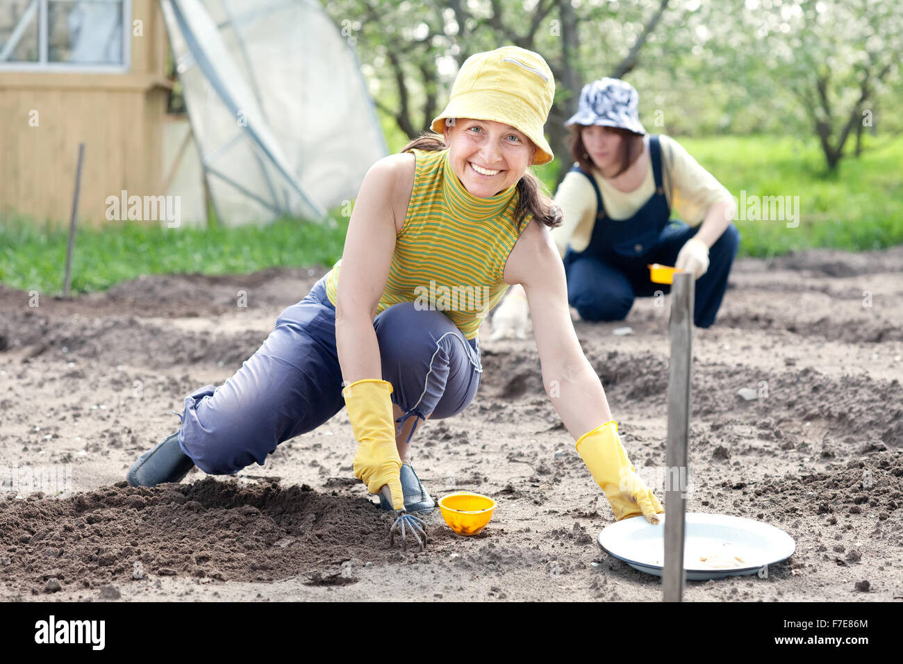 Zwei Frauen sät Samen im Boden im Bereich Stockfoto