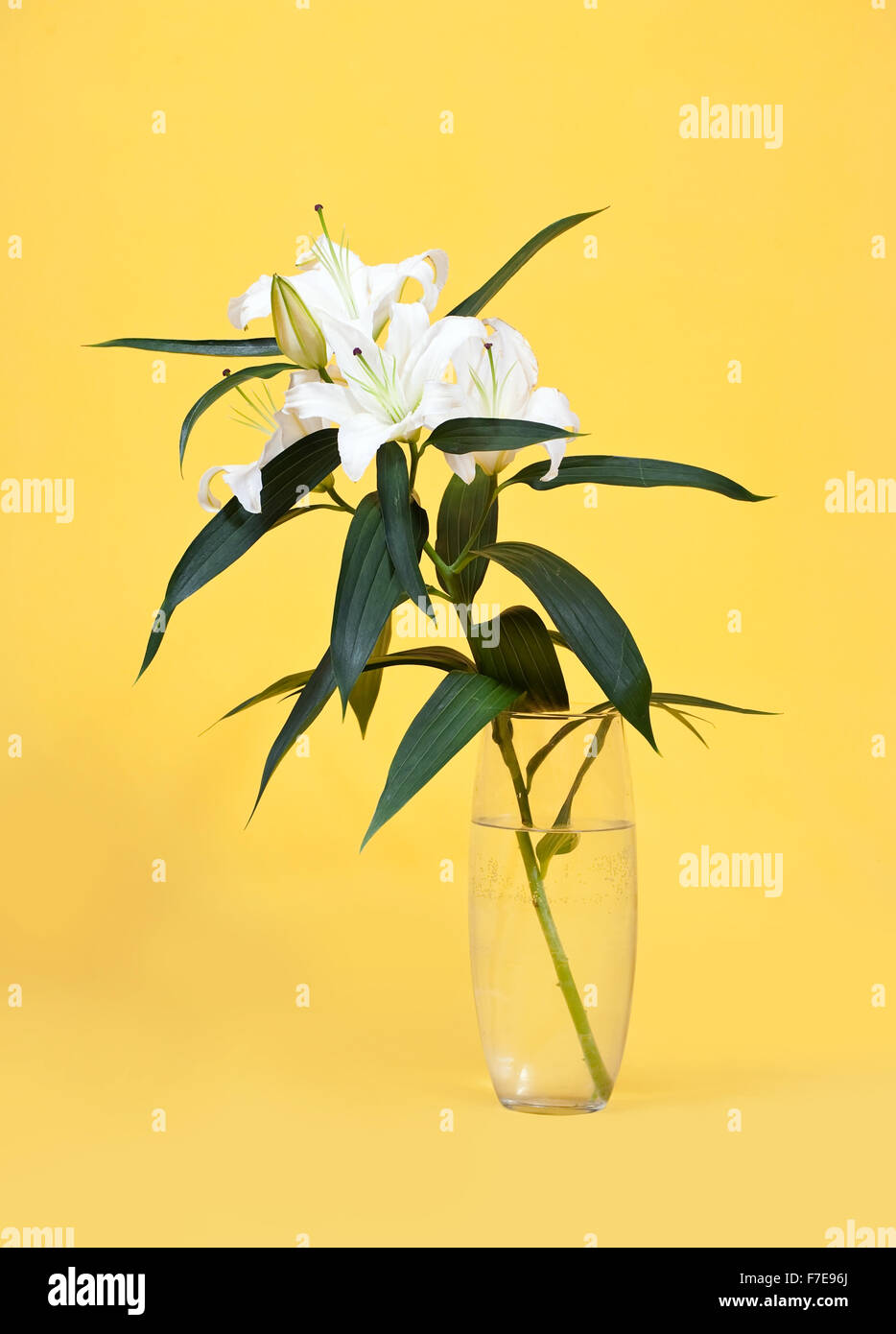 Bouquet von weißen Lilie in Vase auf gelbem Hintergrund Stockfoto