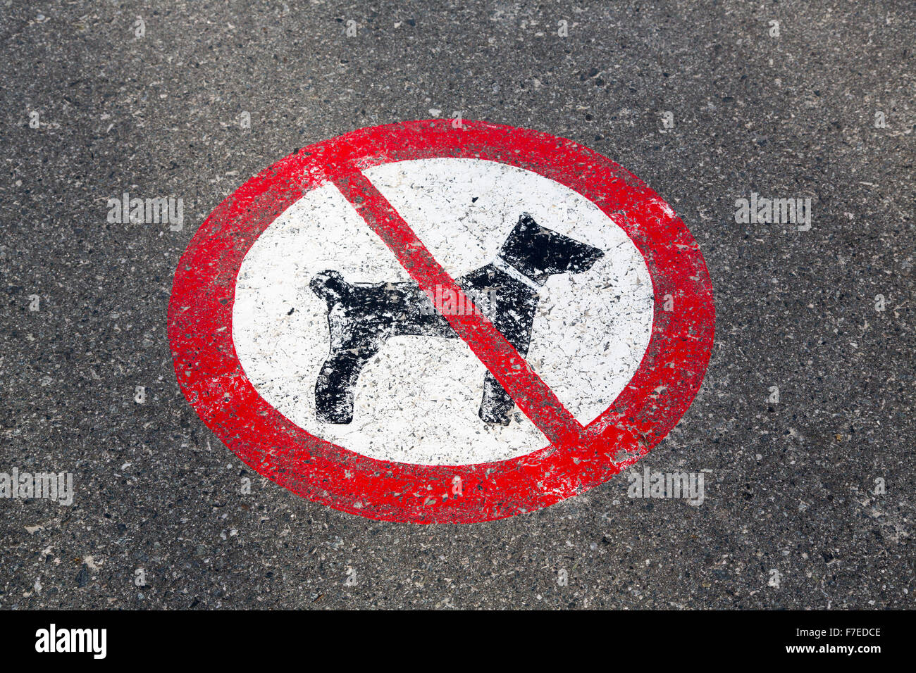 Schild sagt Nein Hunde hier Stockfoto