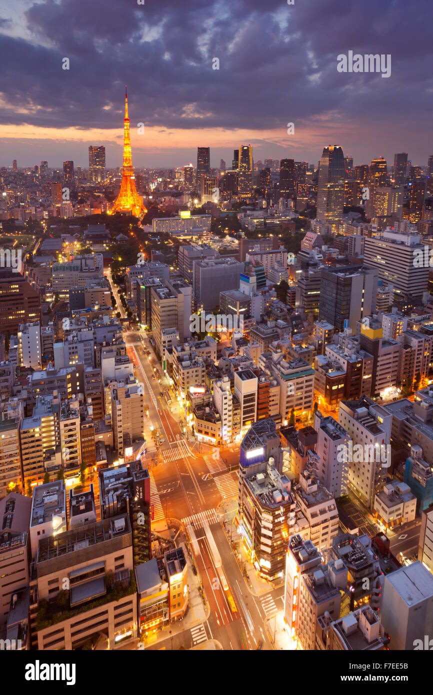 Die Skyline von Tokyo, Japan mit dem Tokyo Tower in der Dämmerung fotografiert. Stockfoto