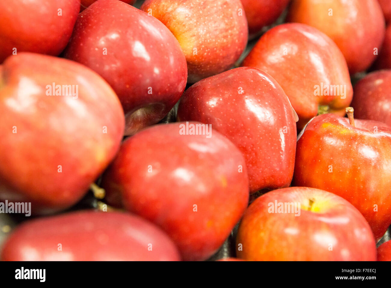 rote Äpfel im Supermarkt Stockfoto