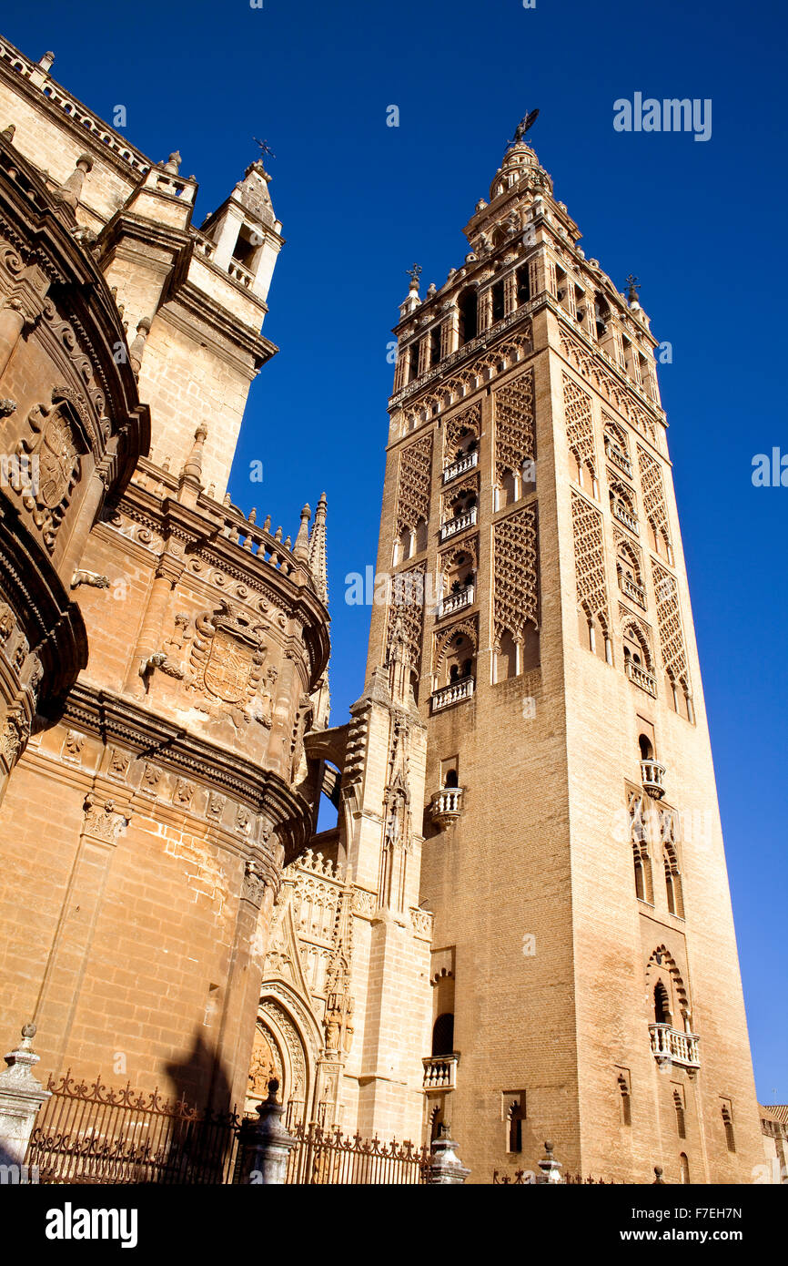 Kathedrale, Giralda Turm vom Plaza Virgen de Los Reyes, Sevilla, Andalusien, Spanien Stockfoto