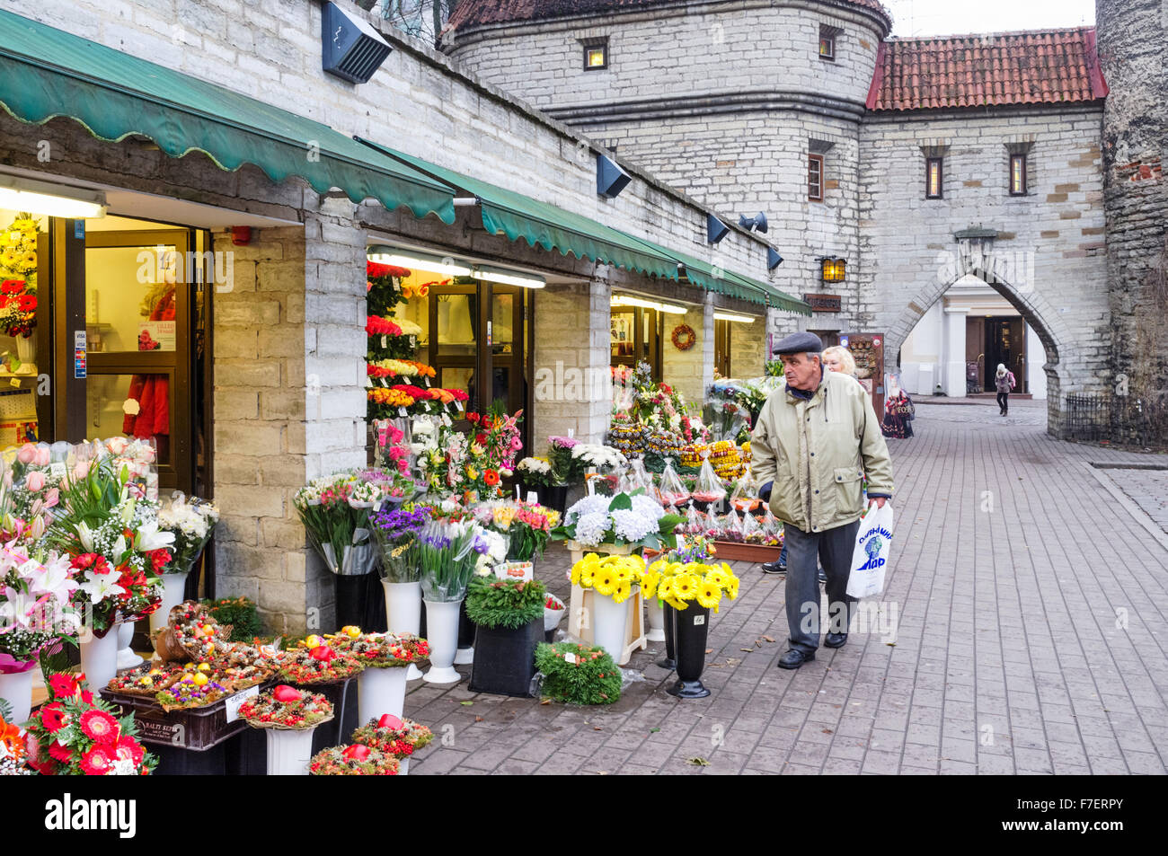 Tallinn florist Fotos und Bildmaterial in hoher Auflösung Alamy