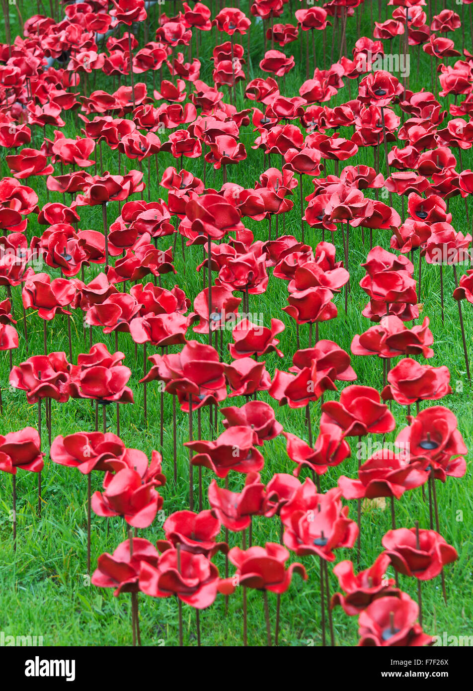 Die Kaskade von keramischen rote Mohnblumen in Woodhorn Bergbaumuseum in Erinnerung an erster Weltkrieg Soldaten Ashington Northumberland UK Stockfoto