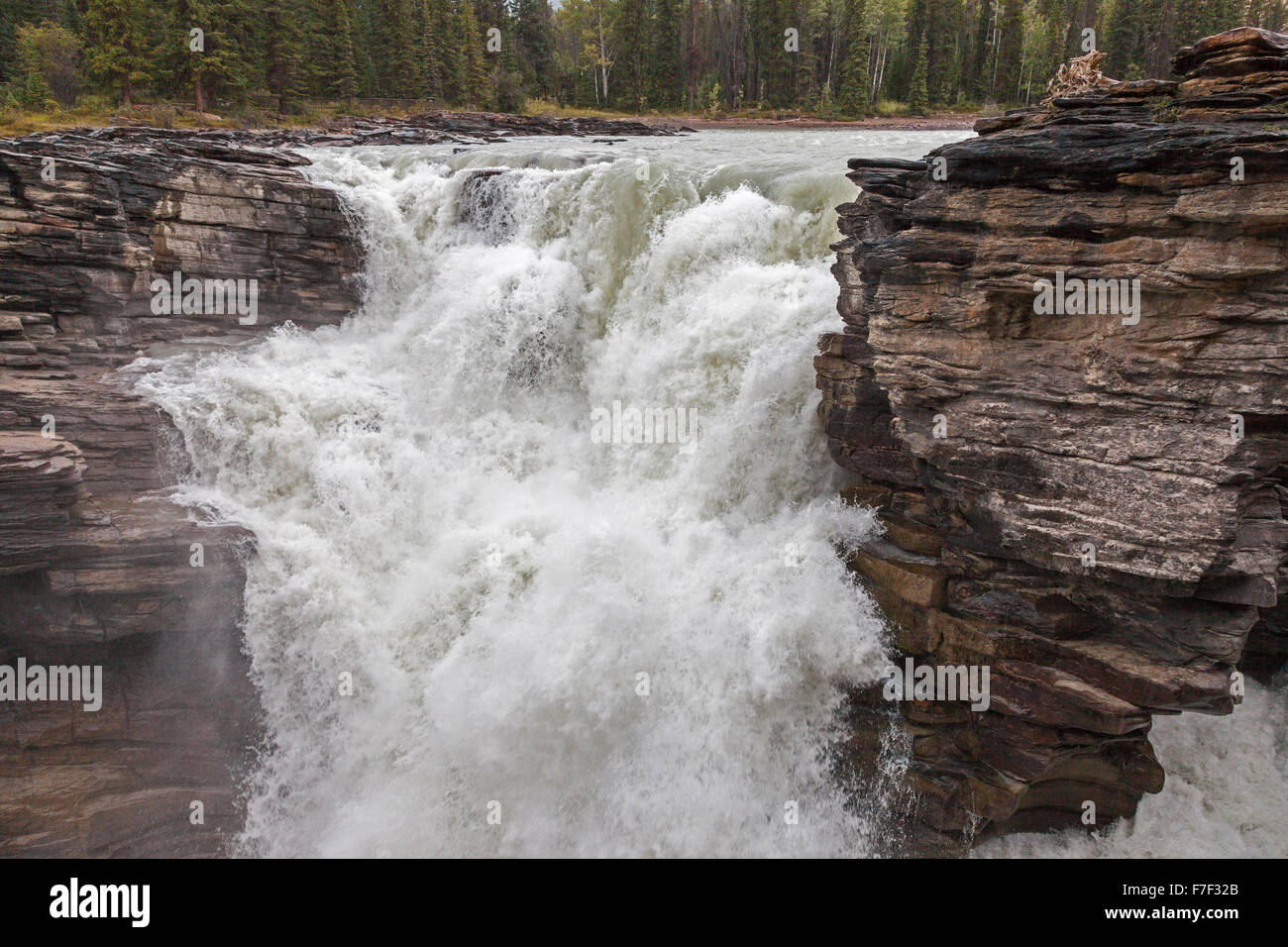 Athabasca Falls, einem Wasserfall im Jasper National Park auf der oberen Athabasca River Alberta, Kanada Stockfoto