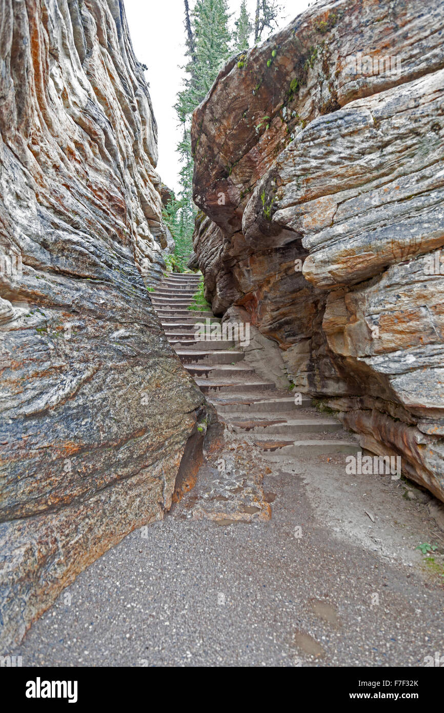 Schritte durch die Felsen am Athabasca Falls, einem Wasserfall im Jasper National Park auf der oberen Athabasca River Alberta, Kanada Stockfoto