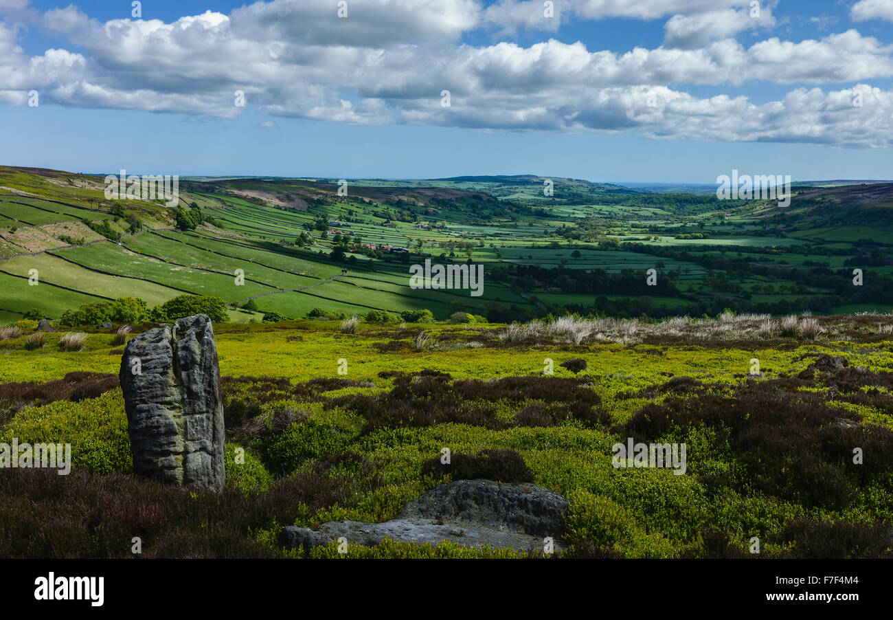 Die North York Moors National Park an einem hellen Frühlingsmorgen zeigt die hügelige Landschaft. Stockfoto