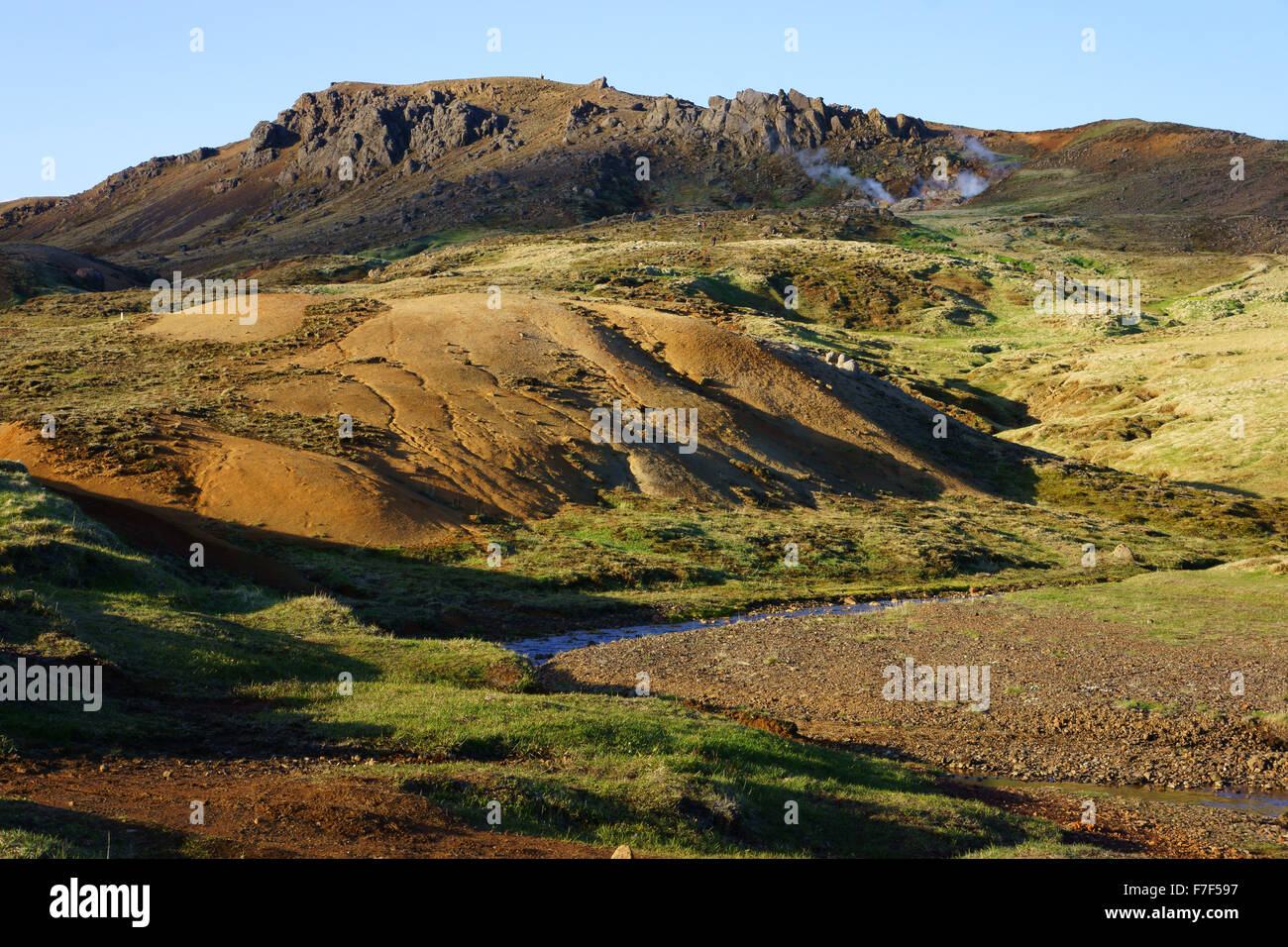 Sprudel und dampfenden Vent, Hengill Berge, Hveragerdi, SW Island Stockfoto
