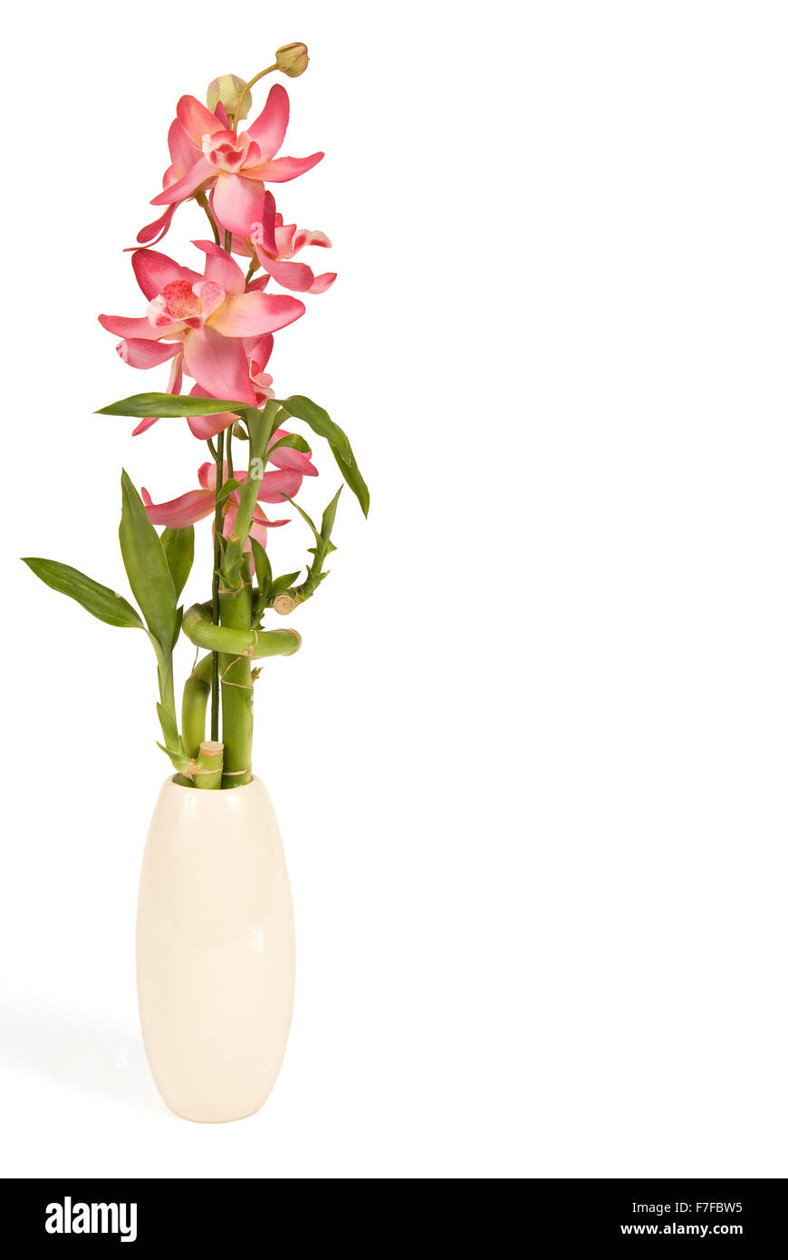 Bambus mit Orchidee Stockfotografie - Alamy