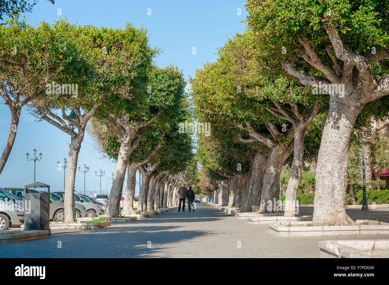 Trapani direkt am Meer, einem schattigen Boulevard entlang der Waterfront im Hafen von Trapani, Sizilien. Stockfoto
