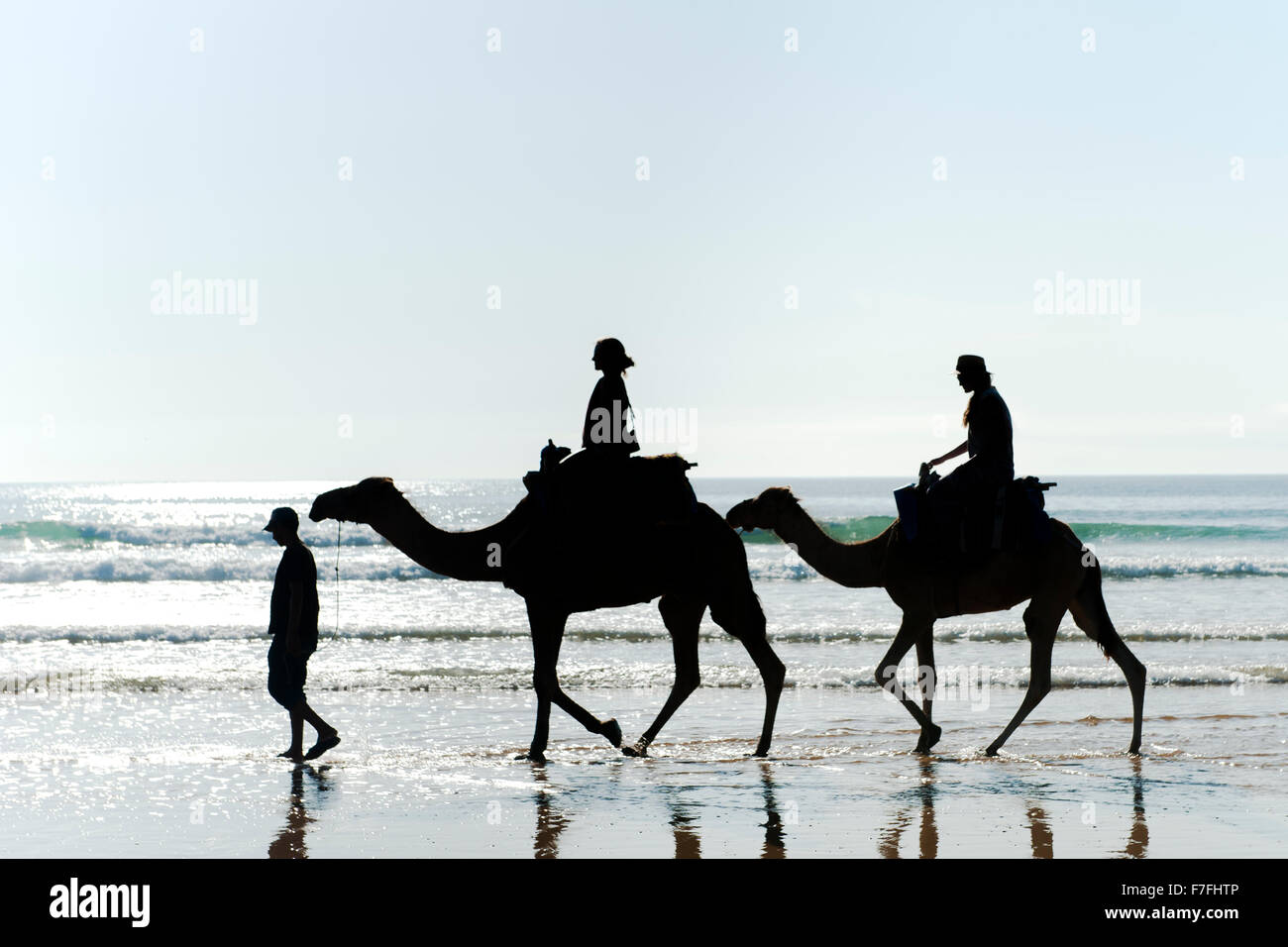 Touristen, Kamelreiten entlang der Wasserkante von Sidi Kaouki Beach in Marokko. Stockfoto