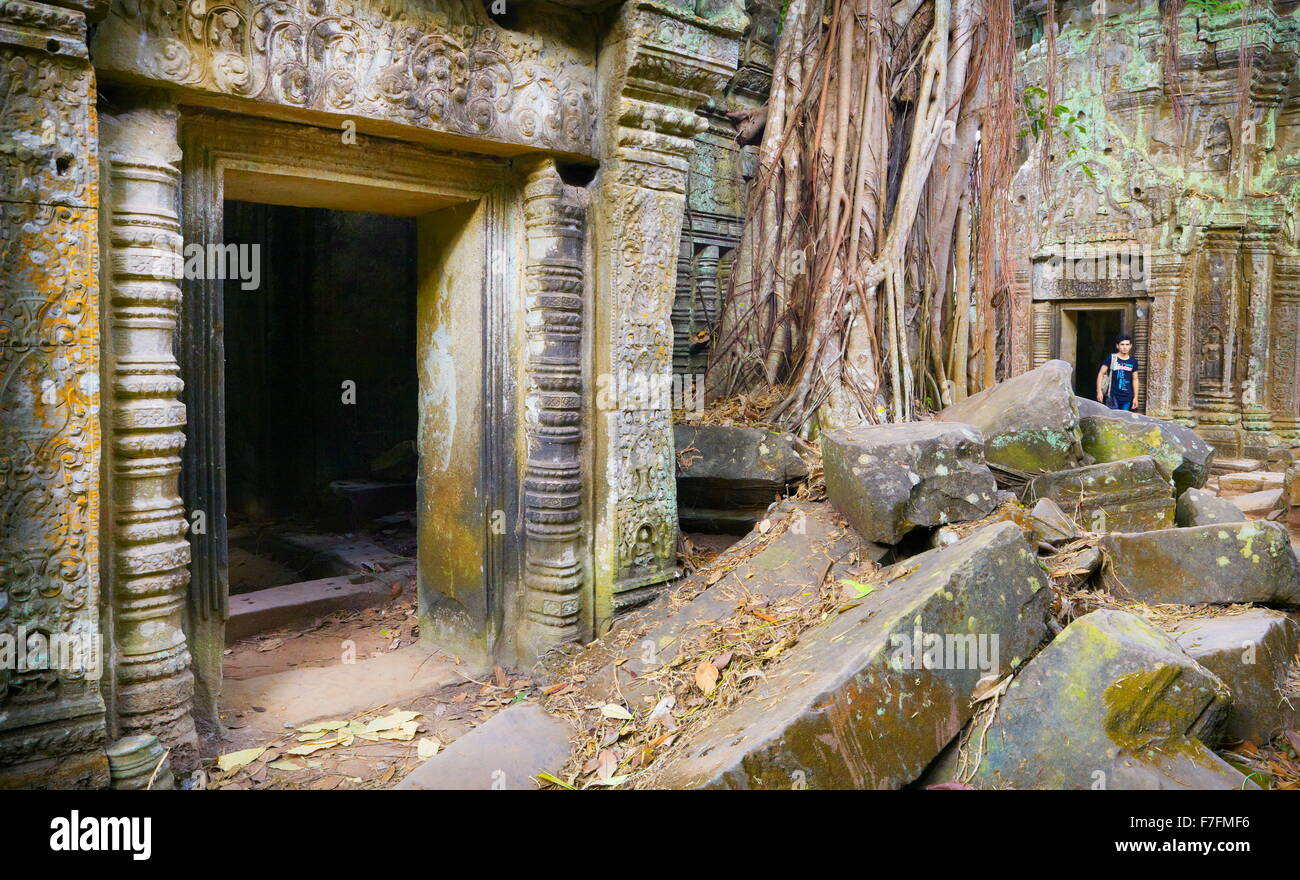 Ta Prohm Tempel, Angkor, Kambodscha, Asien Stockfoto