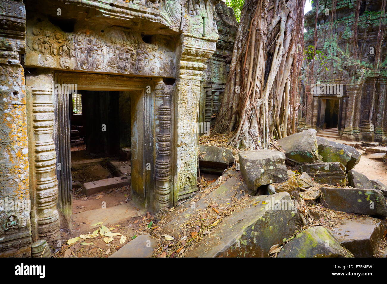 Ta Prohm Tempel, Angkor, Kambodscha, Asien Stockfoto