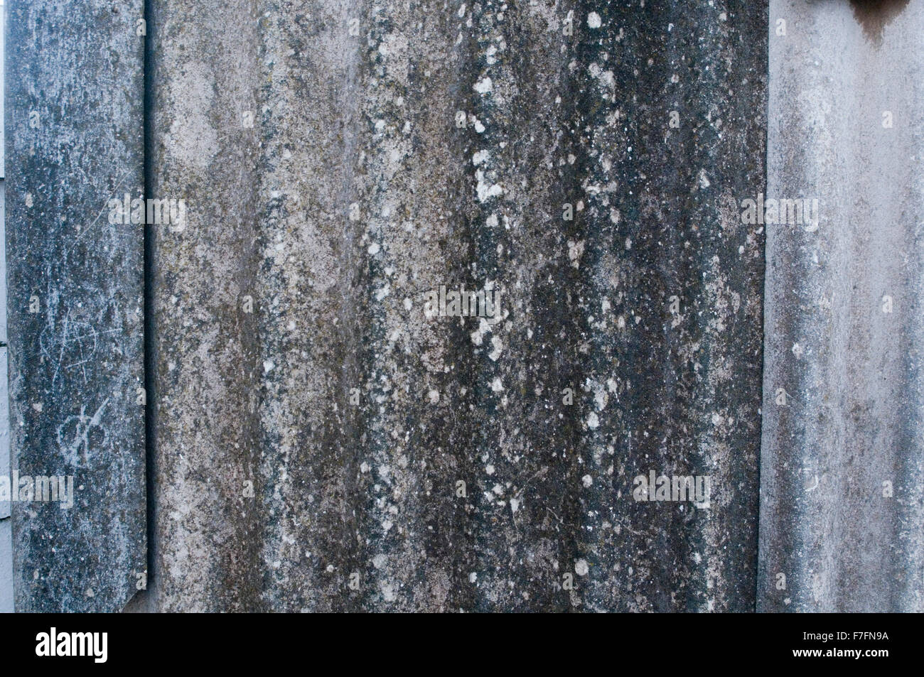 Asbestsanierung Umzüge Wellpappe Blatt Blatt Material Baumaterialien Spezialisten Spezialist Lungenkrebs, Mesotheliom, Stockfoto