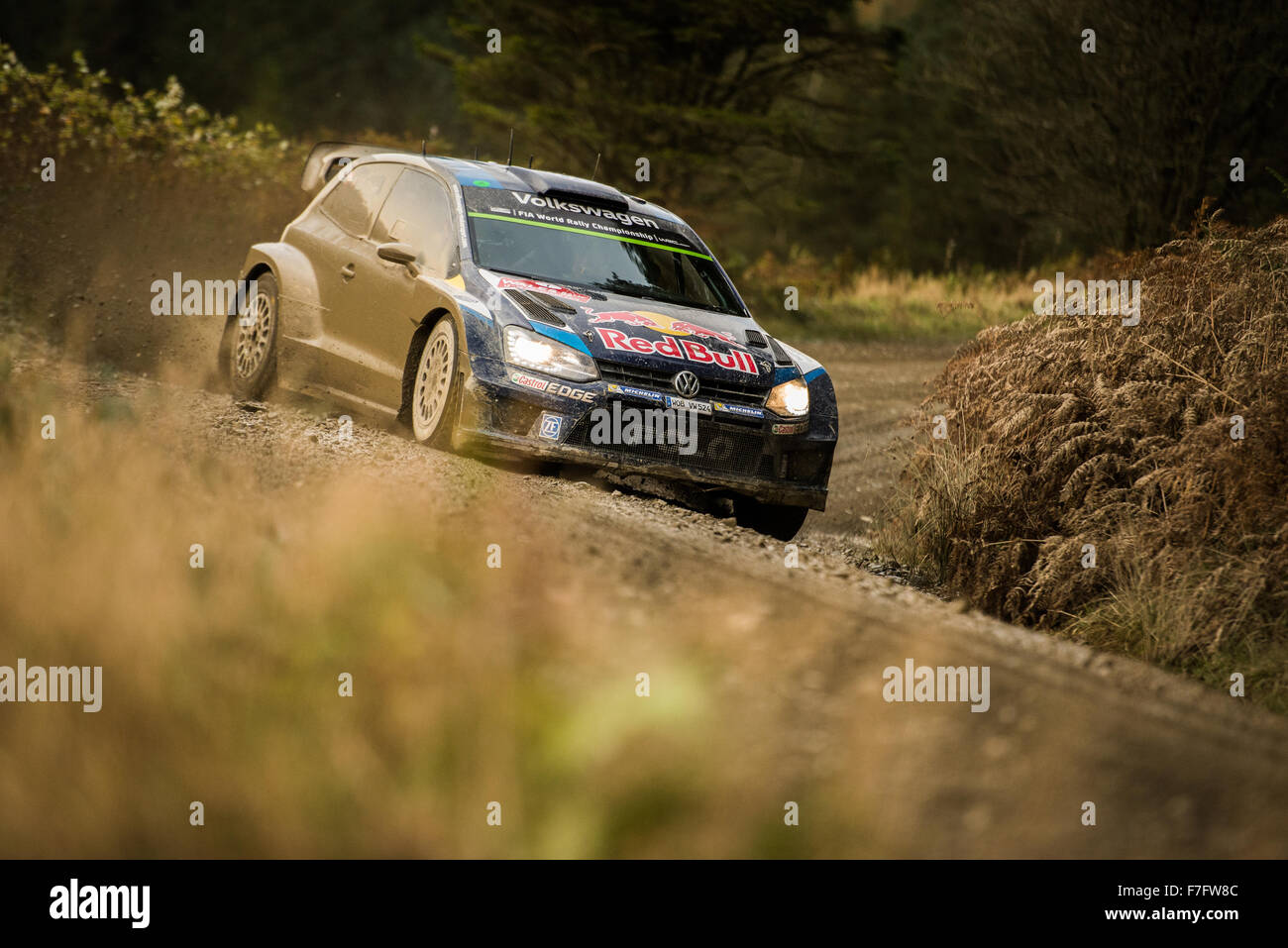 Sebastien Ogier auf Stufe 3 Wales Rallye GB 2015 Stockfoto