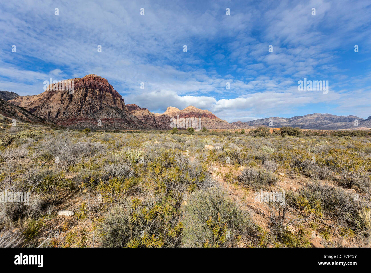 Am frühen Morgen am Red Rock Canyon National Conservation Area in der Nähe von Las Vegas, Nevada. Stockfoto