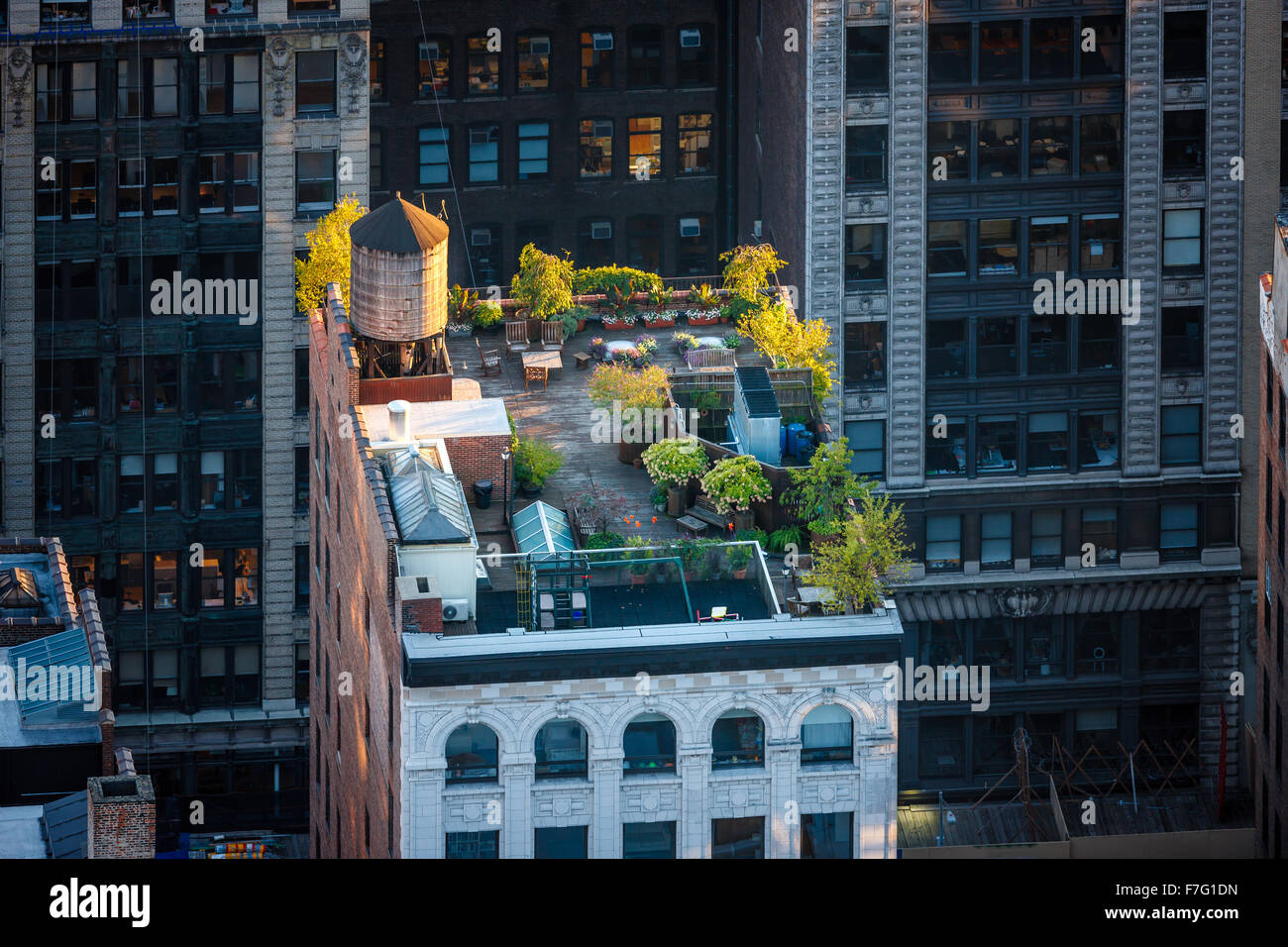 Luftaufnahme von einem Dach Manhattan im Herzen von New York City. Dachgarten in Chelsea mit sonnenbeschienenen Bäume und Holz Wassertank Stockfoto