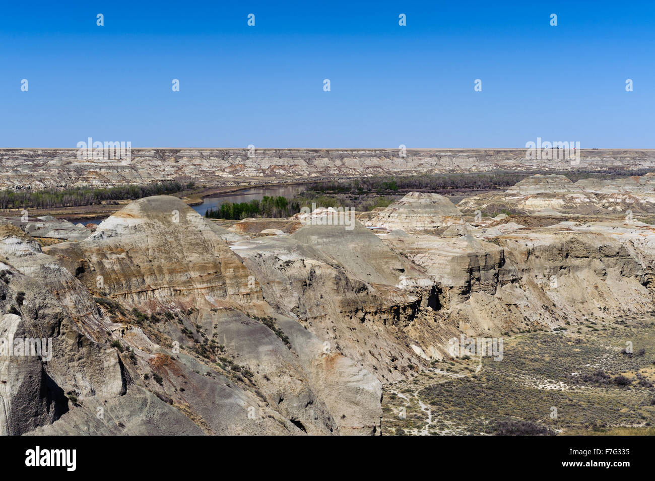 Dinosaur Provincial Park in der Nähe von Drumheller bekannt für die Schönheit seiner Badlands-Landschaft und als fossile Großlage, Alberta, Dose Stockfoto