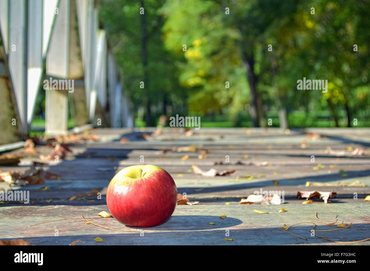 Reifer roter Apfel auf dem Gehweg in der sonnigen Herbsttag gefallen Stockfoto