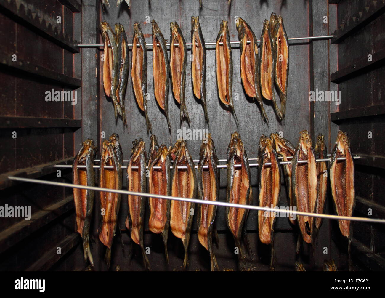 Vorbereitet Ganzen geräucherten Hering (Hering) in einem hölzernen rauchen Kabinett zum Verkauf auf einen Markt hängen, England Großbritannien Stockfoto