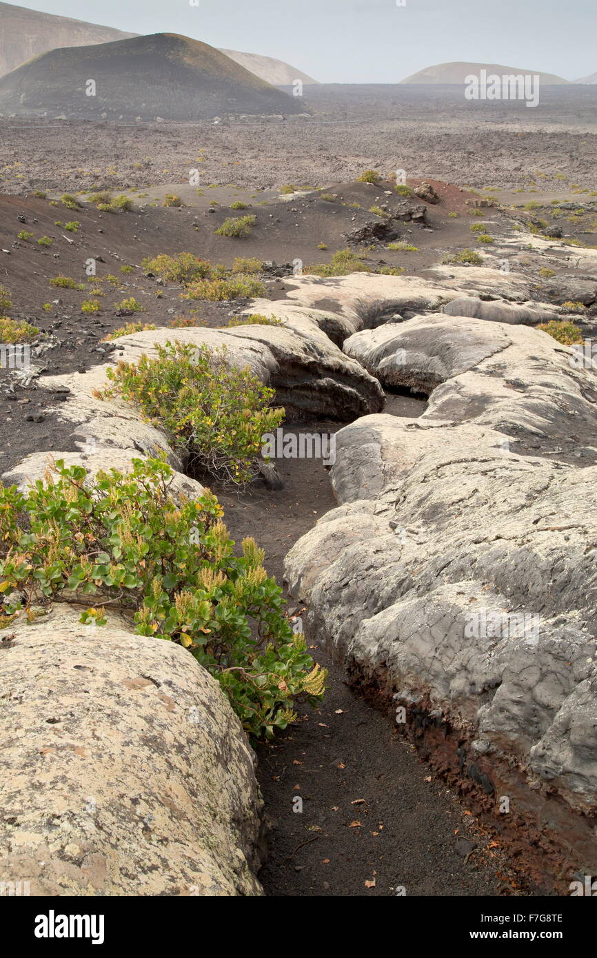 Die Cueva de Pico Partido, einem alten Lavastrom und Tunnel - canal im Timanfaya-Nationalpark / Parque Nacional de Timanfaya, Stockfoto