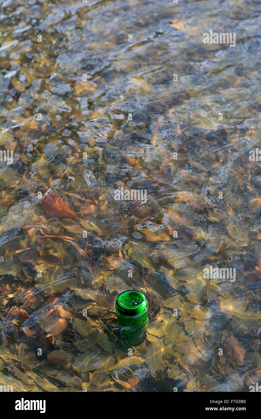 umgedrehten Grünglas Bierflasche schwebend in Teich Stockfoto