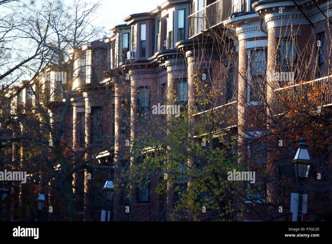 Herbst im Stadtteil South End, Boston, Massachusetts Stockfoto